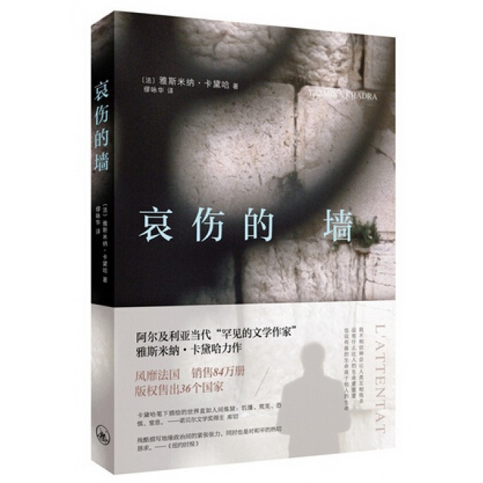 哀伤的墙