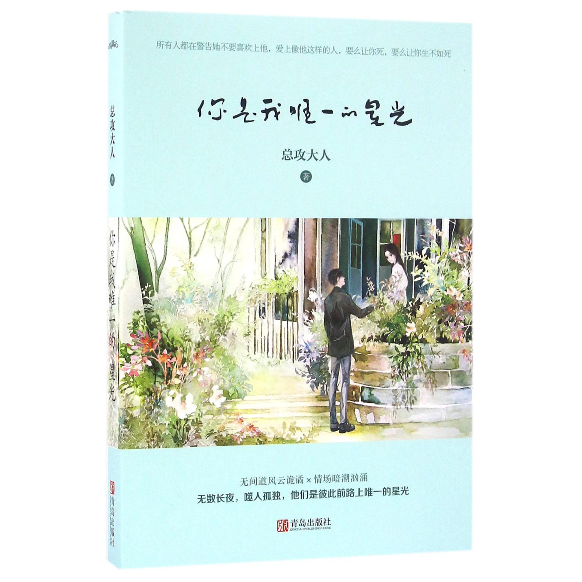 你是我唯一的星光
