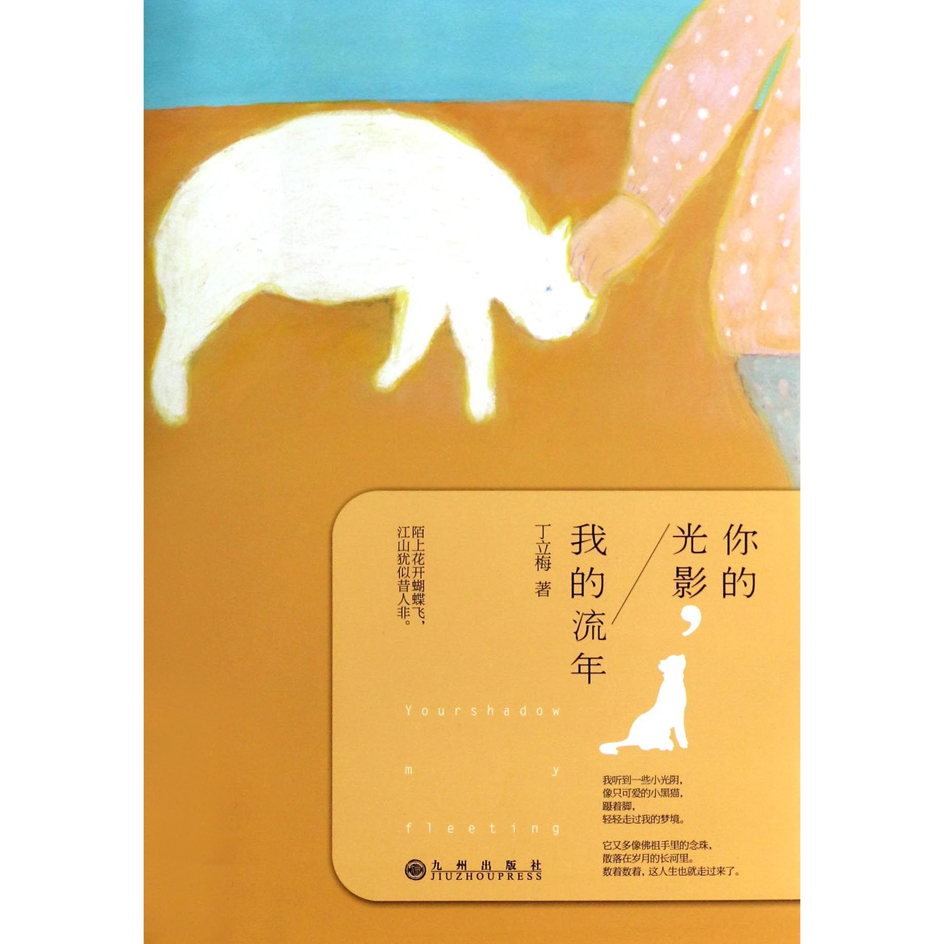你的光影我的流年