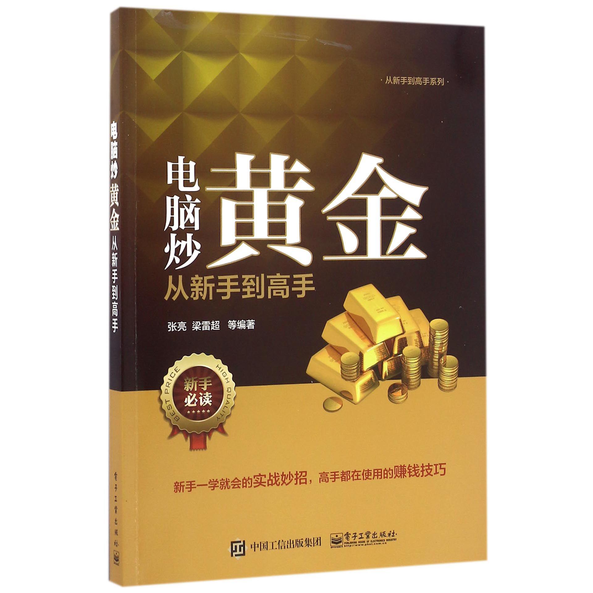 电脑炒黄金从新手到高手/从新手到高手系列