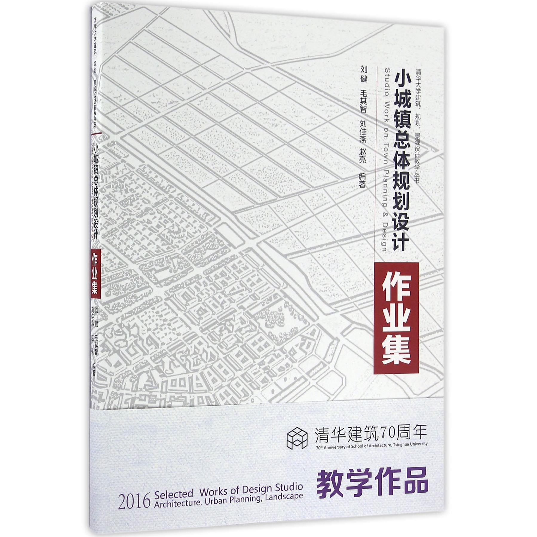 小城镇总体规划设计作业集/清华大学建筑规划景观设计教学丛书