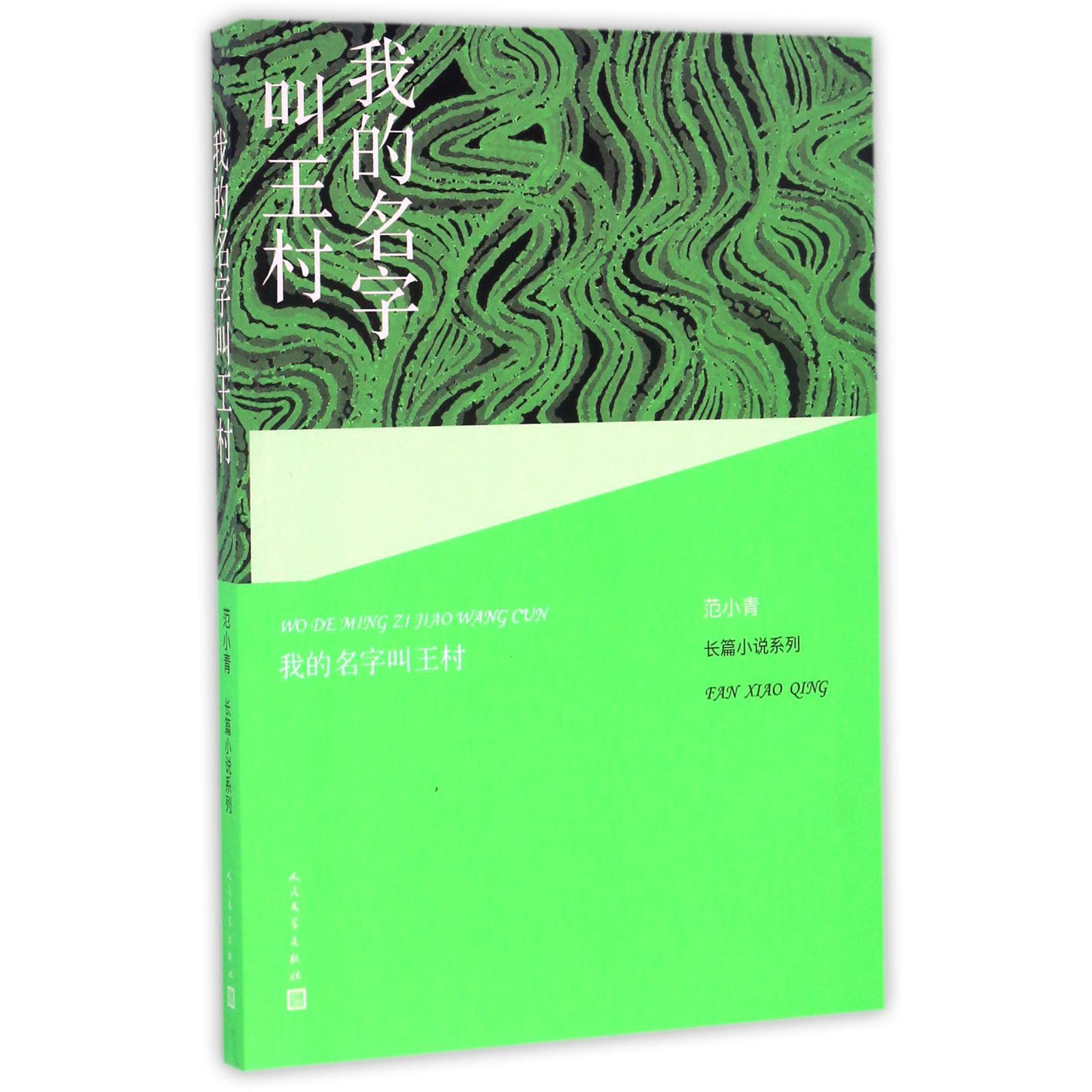 我的名字叫王村/长篇小说系列