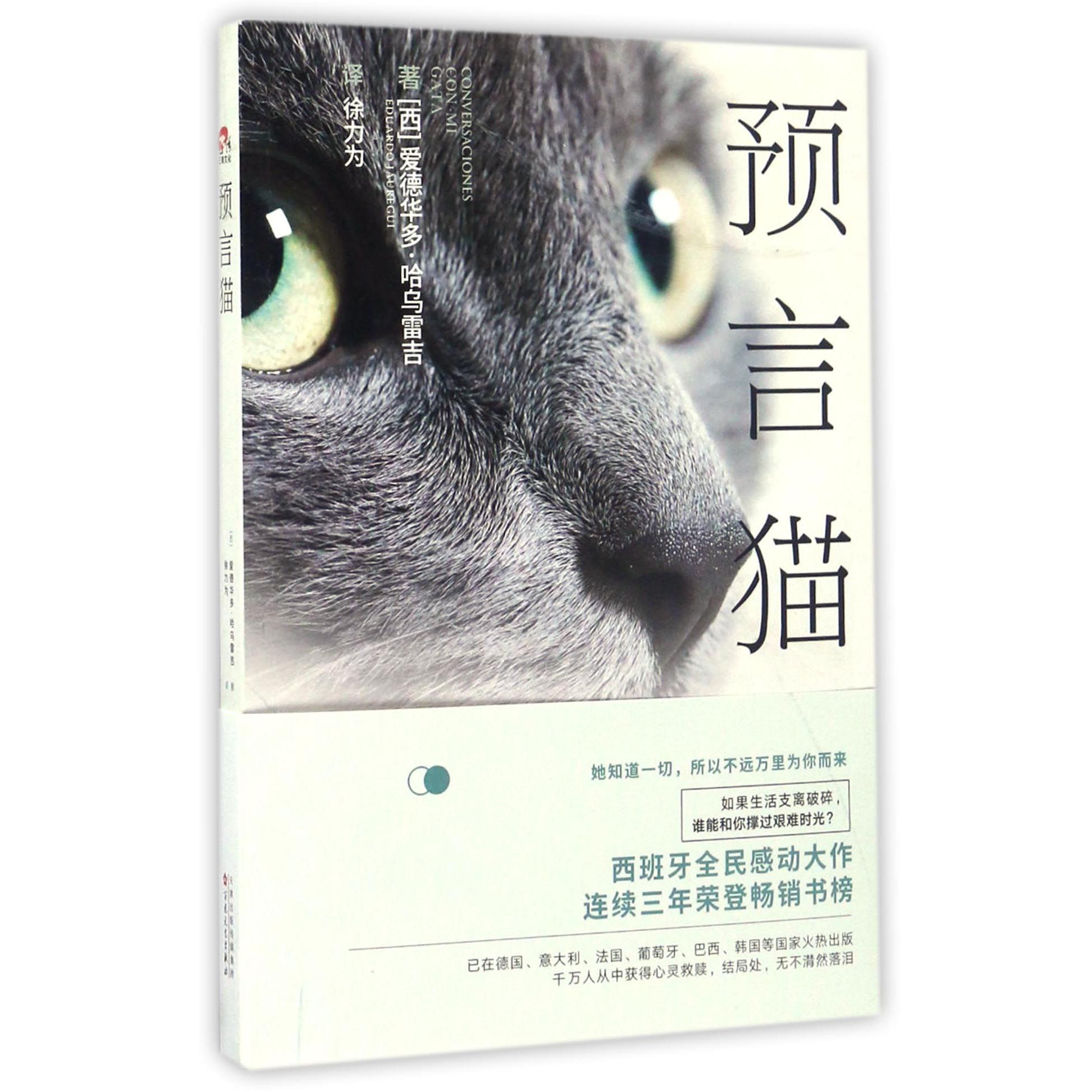 预言猫