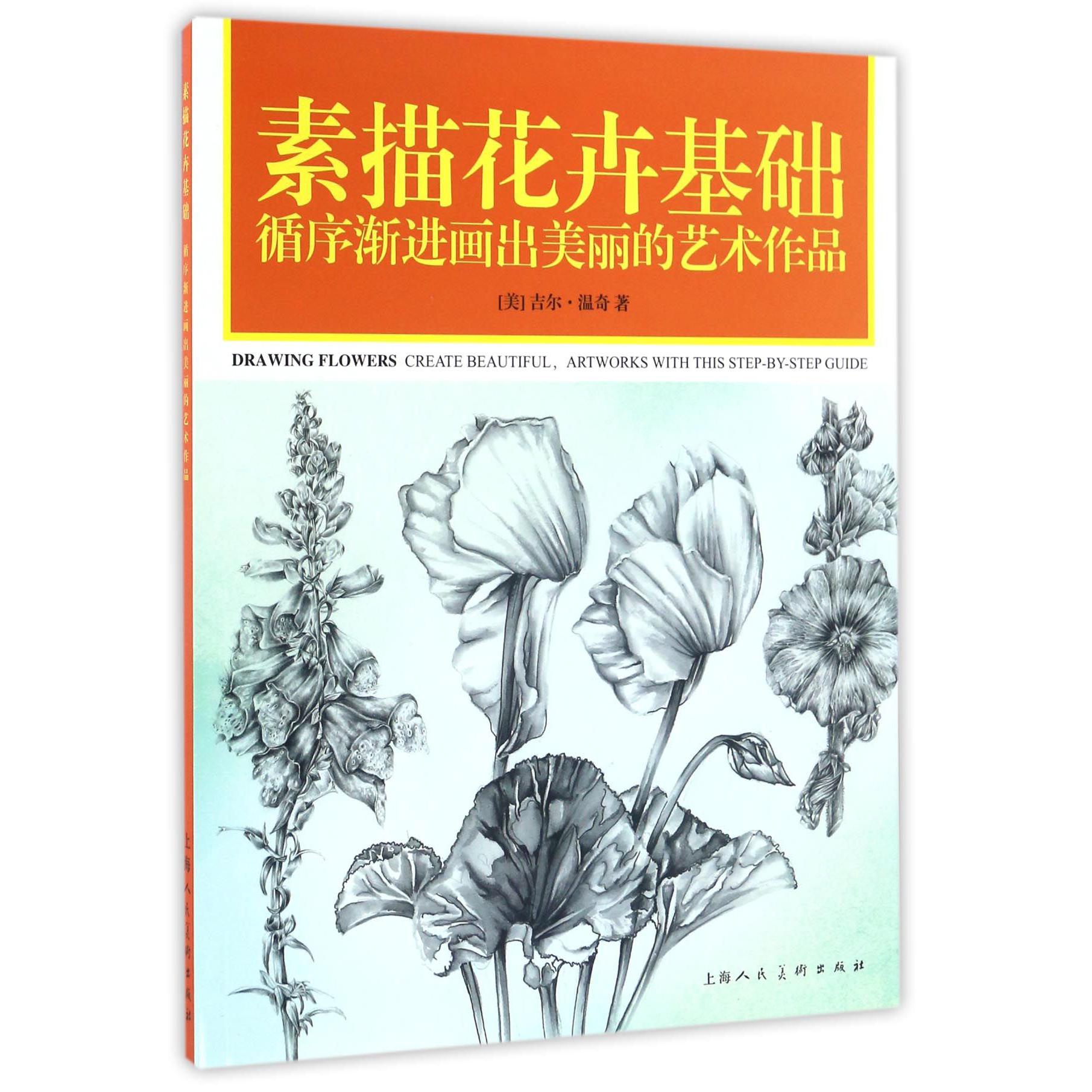 素描花卉基础(循序渐进画出美丽的艺术作品)