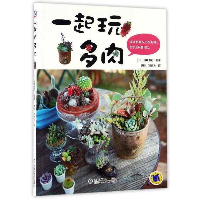 一起玩多肉