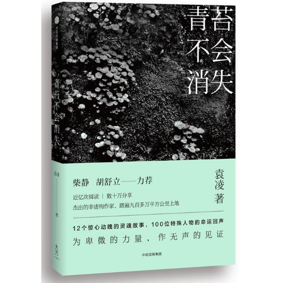 青苔不会消失