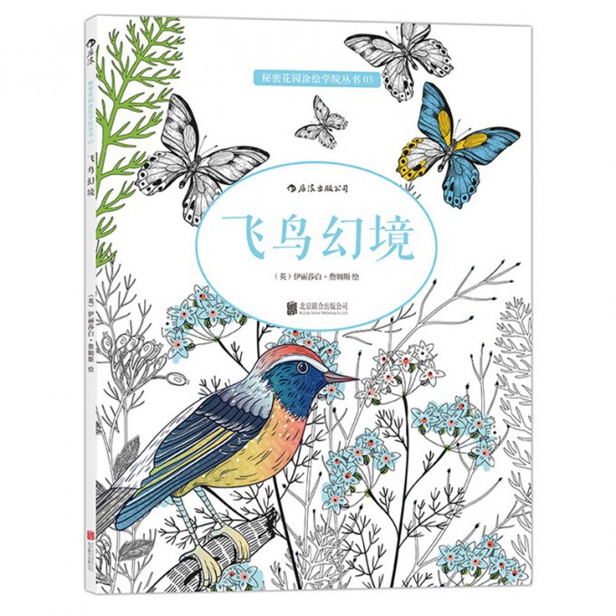 飞鸟幻境/秘密花园涂绘学院丛书