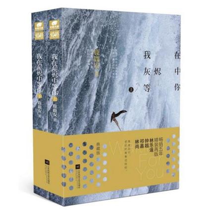 我在灰烬中等你(典藏版上下)