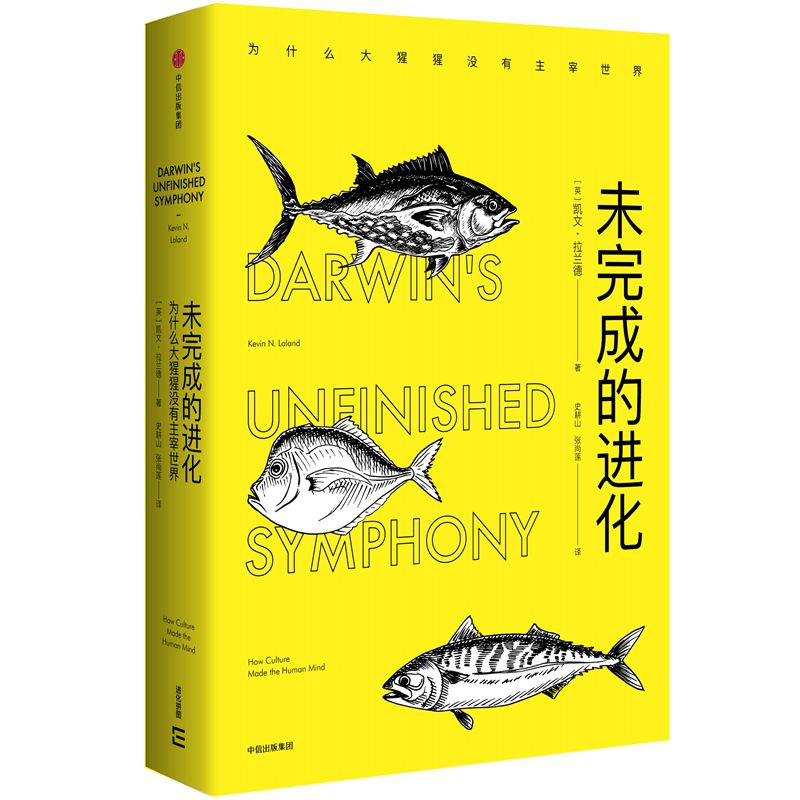 未完成的进化(精)