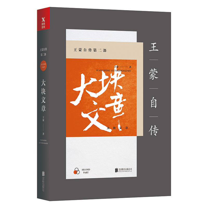 大块文章/王蒙自传