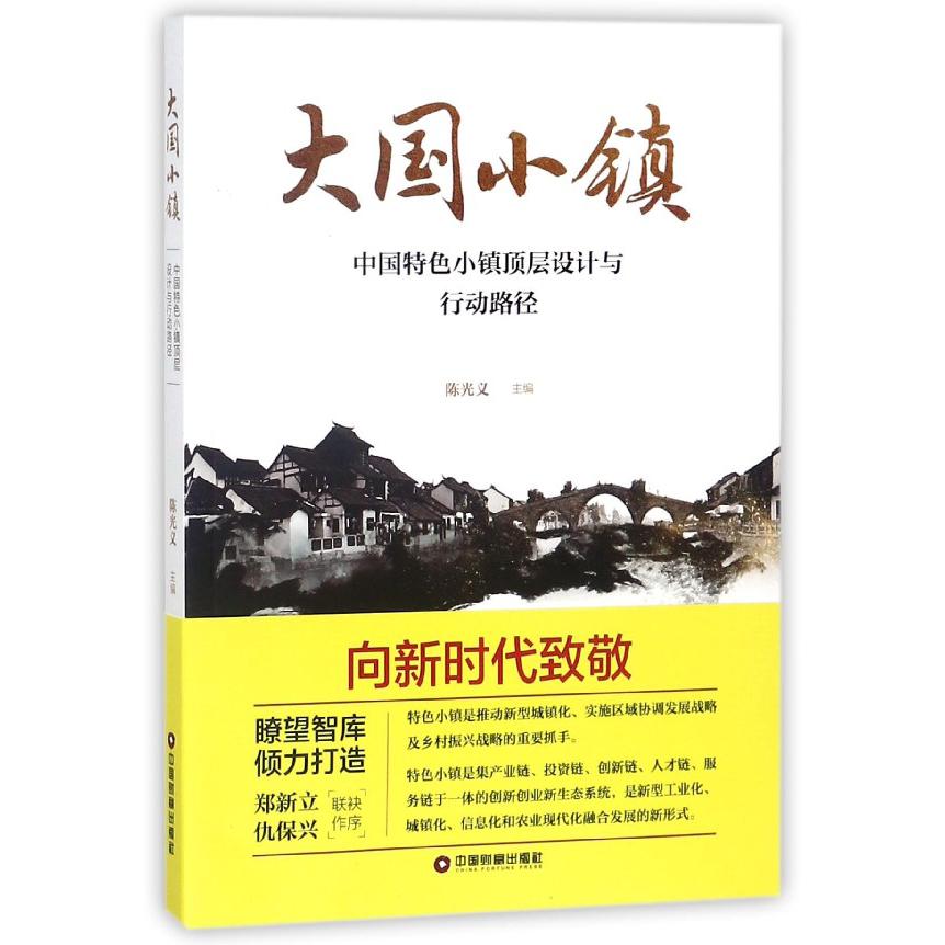 大国小镇(中国特色小镇顶层设计与行动路径)