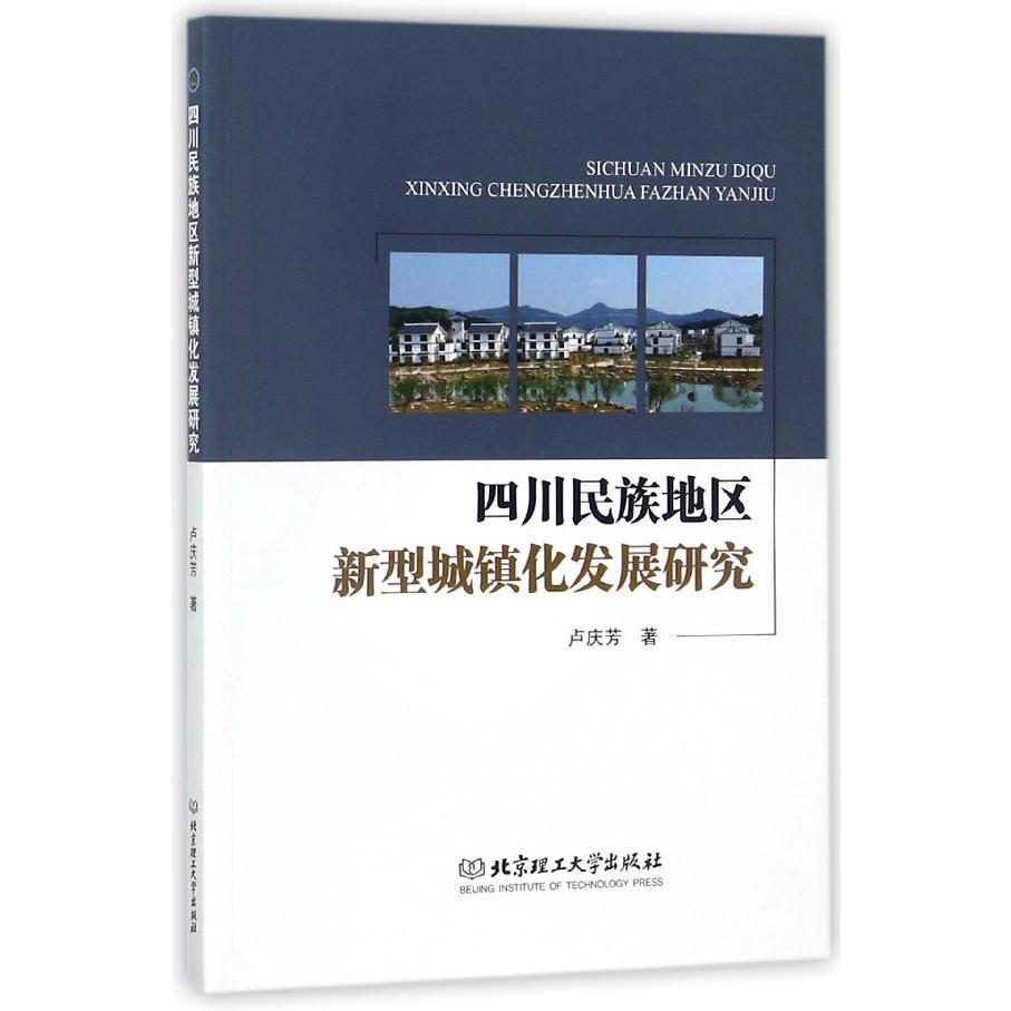 四川民族地区新型城镇化发展研究