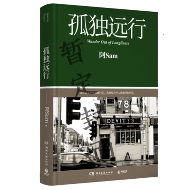 孤独远行(精)