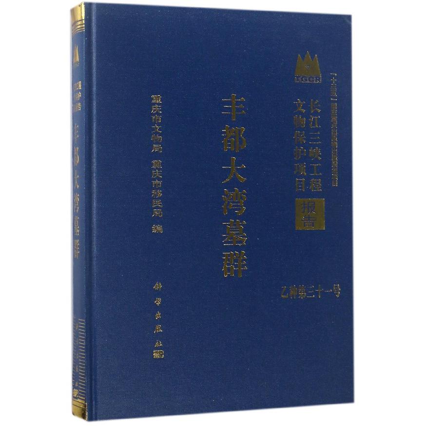 丰都大湾墓群(精)/长江三峡工程文物保护项目报告