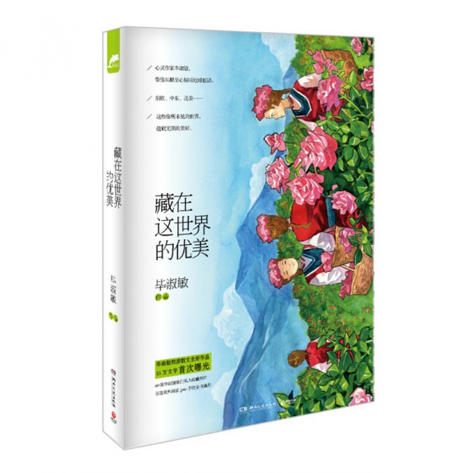 藏在这世界的优美