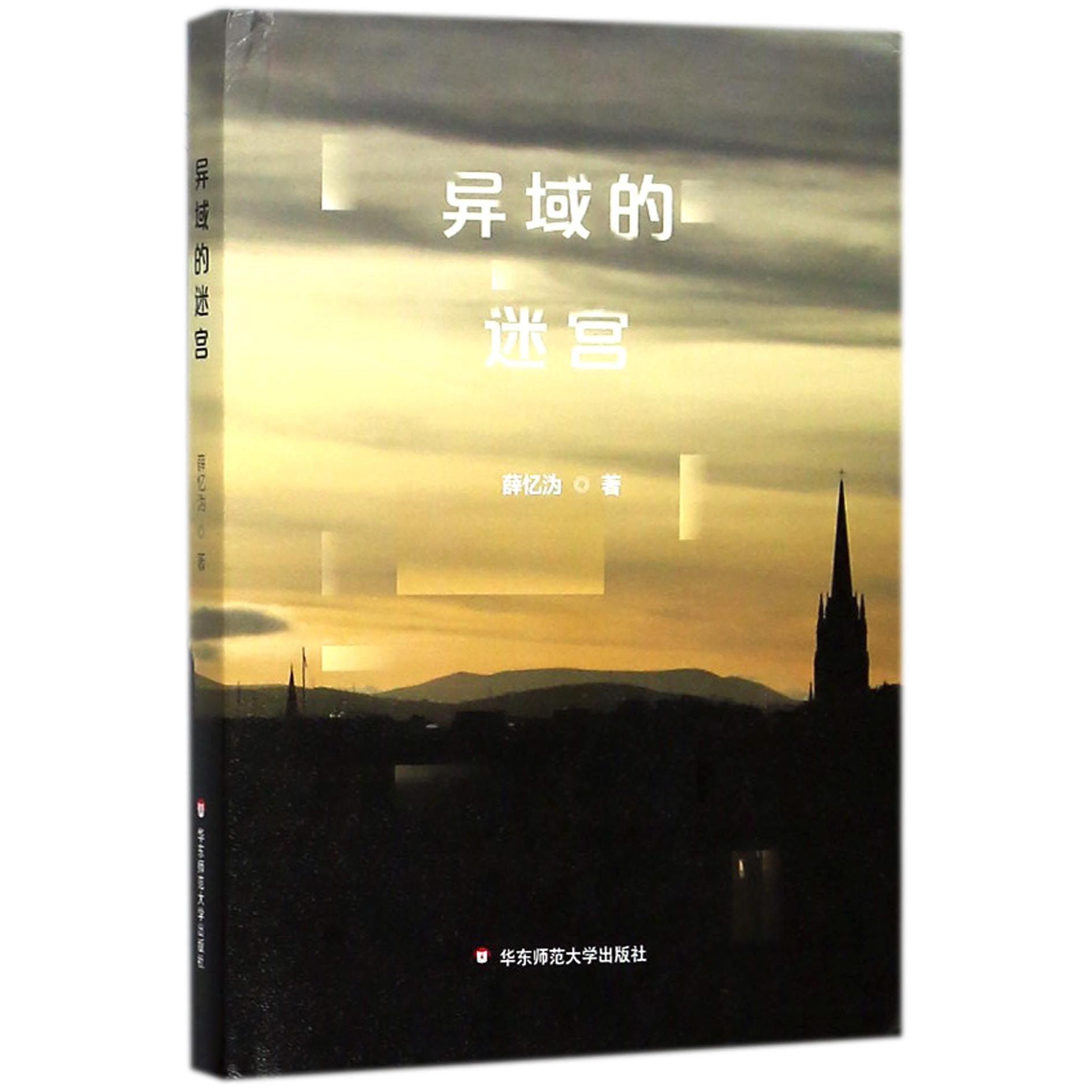 异域的迷宫(精)