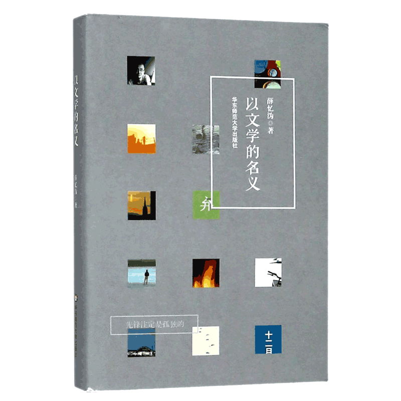以文学的名义(精)