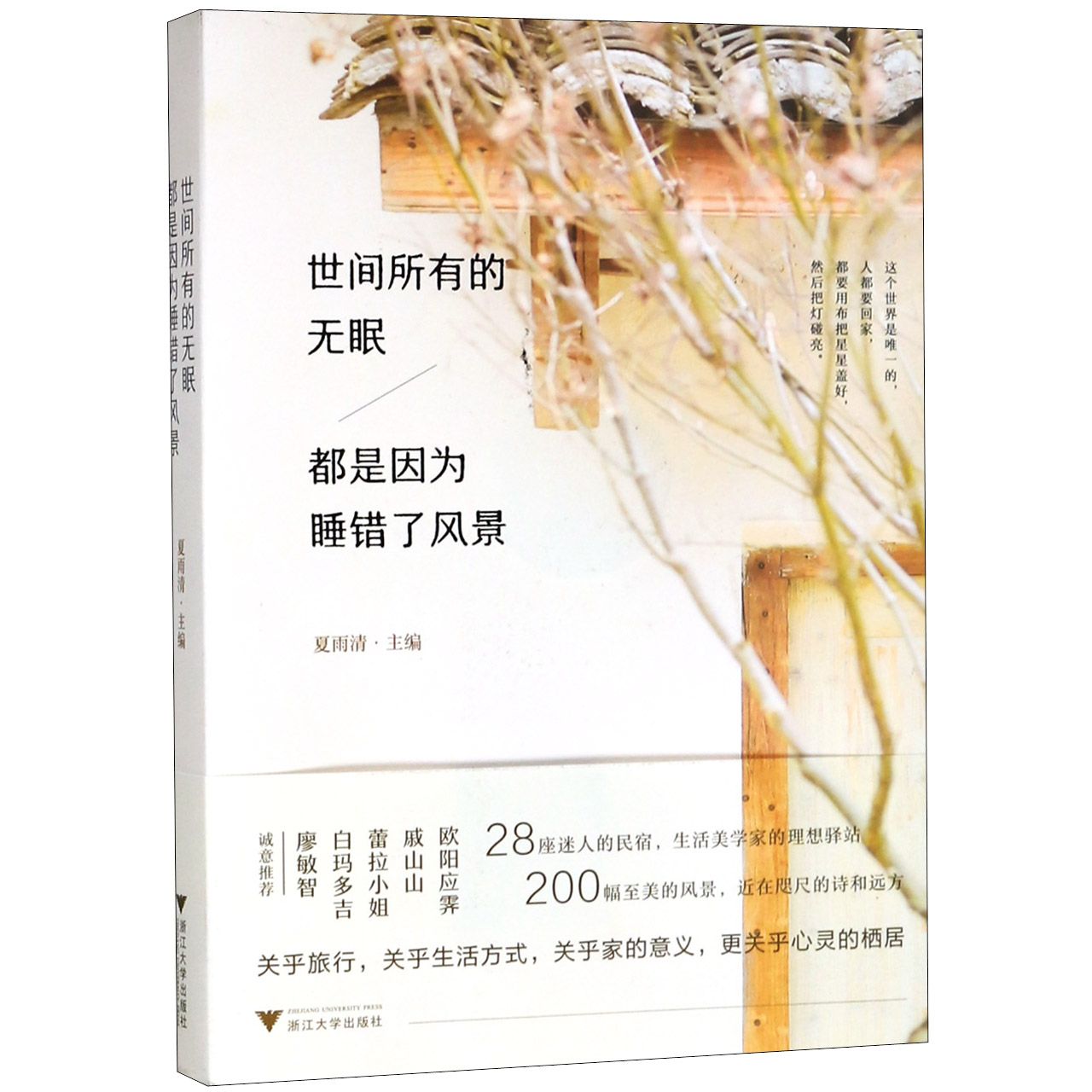 世间所有的无眠都是因为睡错了风景