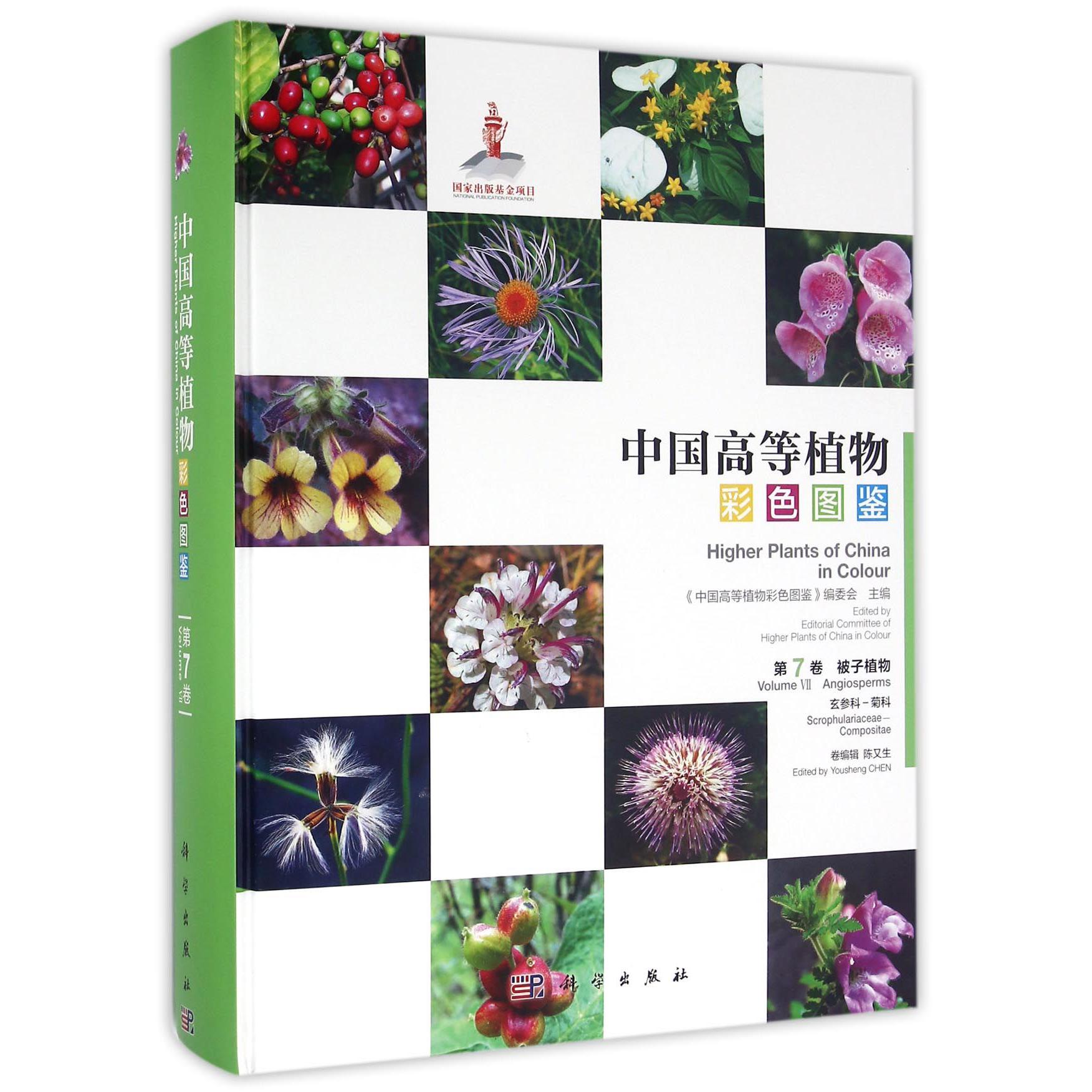中国高等植物彩色图鉴(第7卷被子植物玄参科菊科)(精)