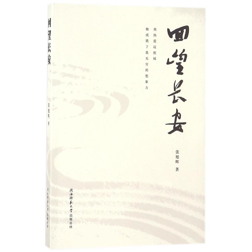 回望长安