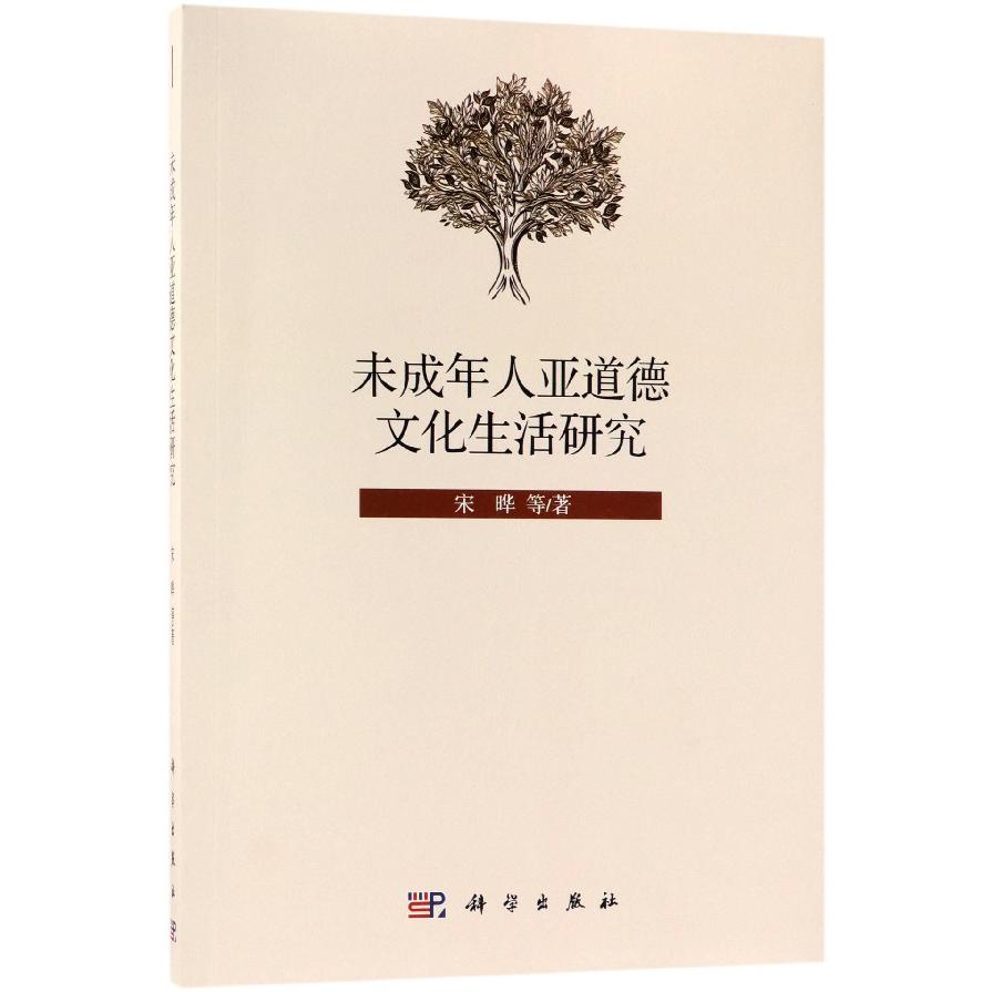未成年人亚道德文化生活研究