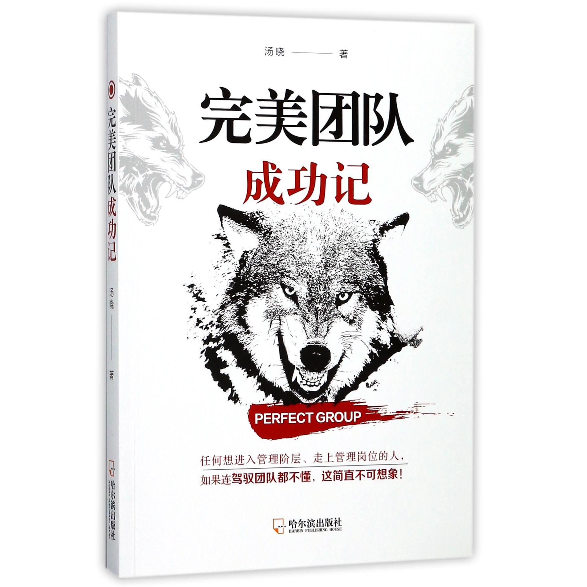 完美团队成功记