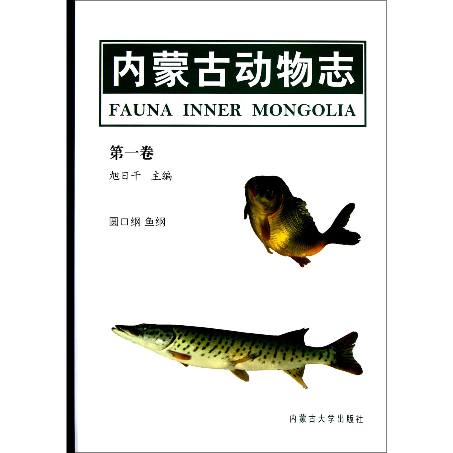 内蒙古动物志(第1卷圆口纲鱼纲)(精)