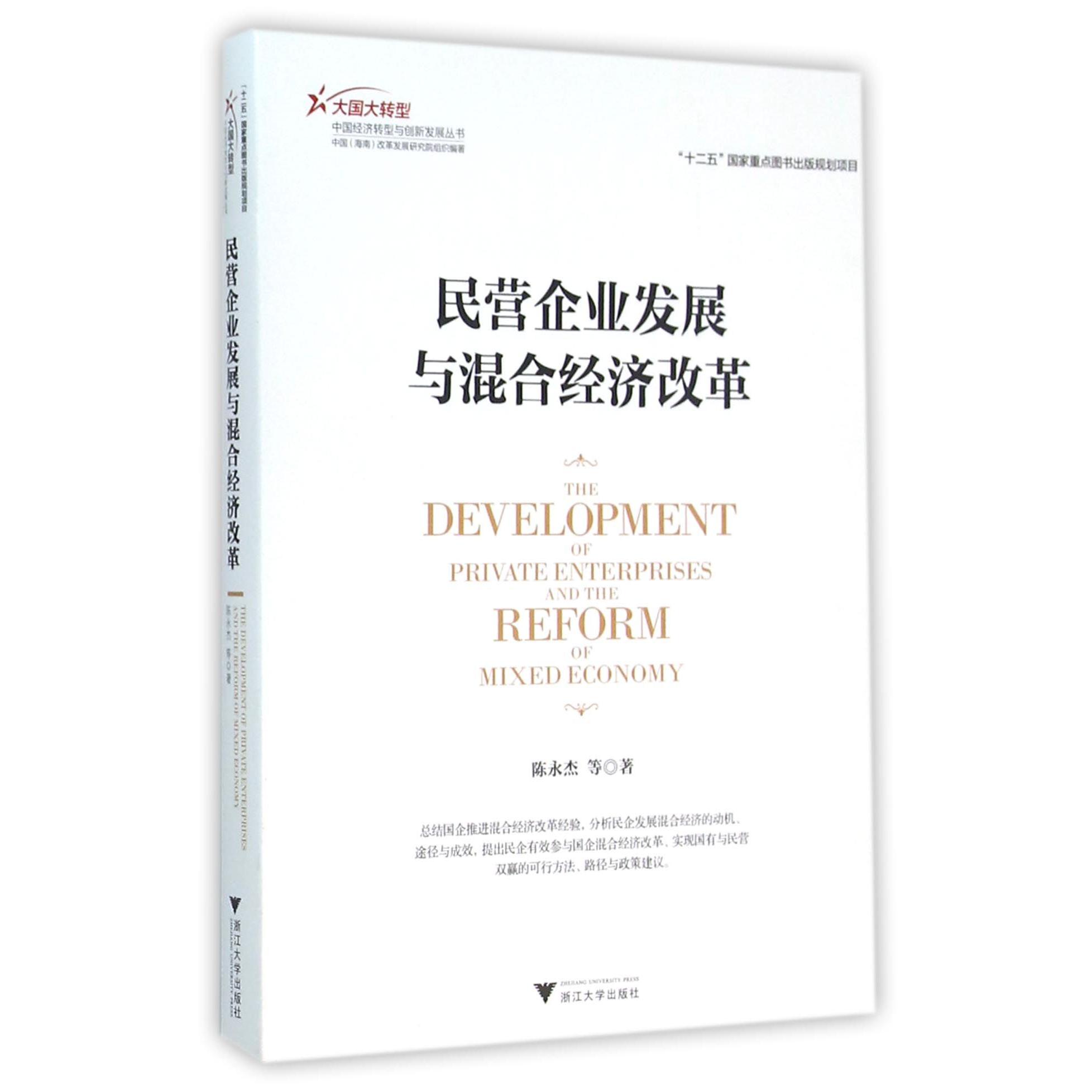 民营企业发展与混合经济改革/大国大转型中国经济转型与创新发展丛书