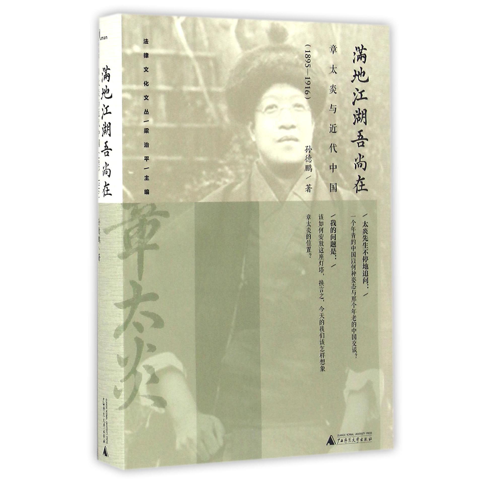 满地江湖吾尚在(章太炎与近代中国1895-1916)(精)/法制文化文丛