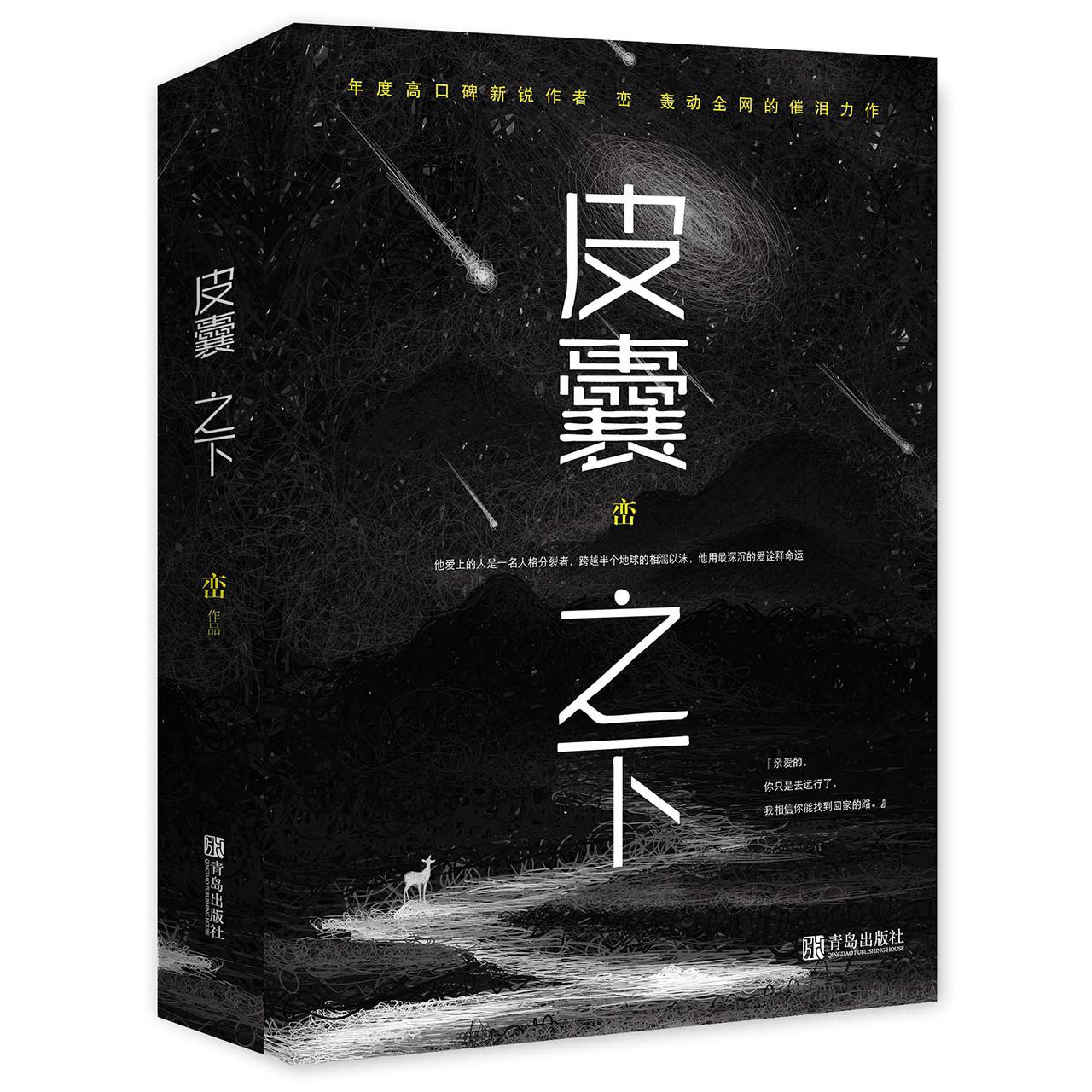 皮囊之下(上下)