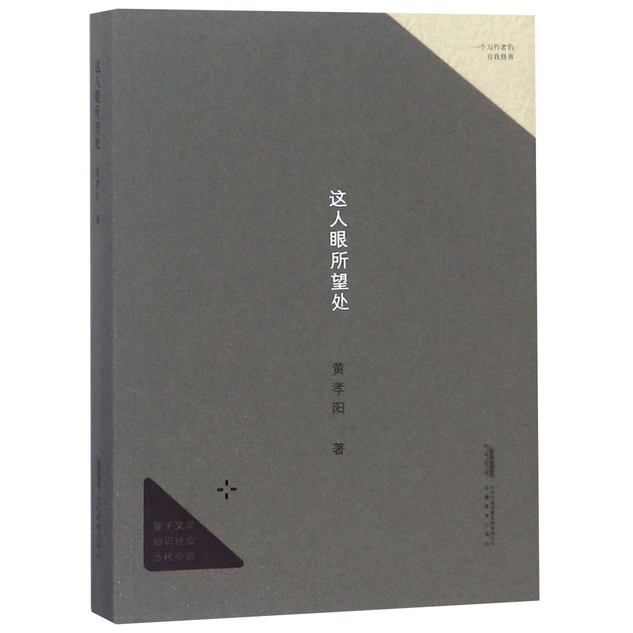 这人眼所望处