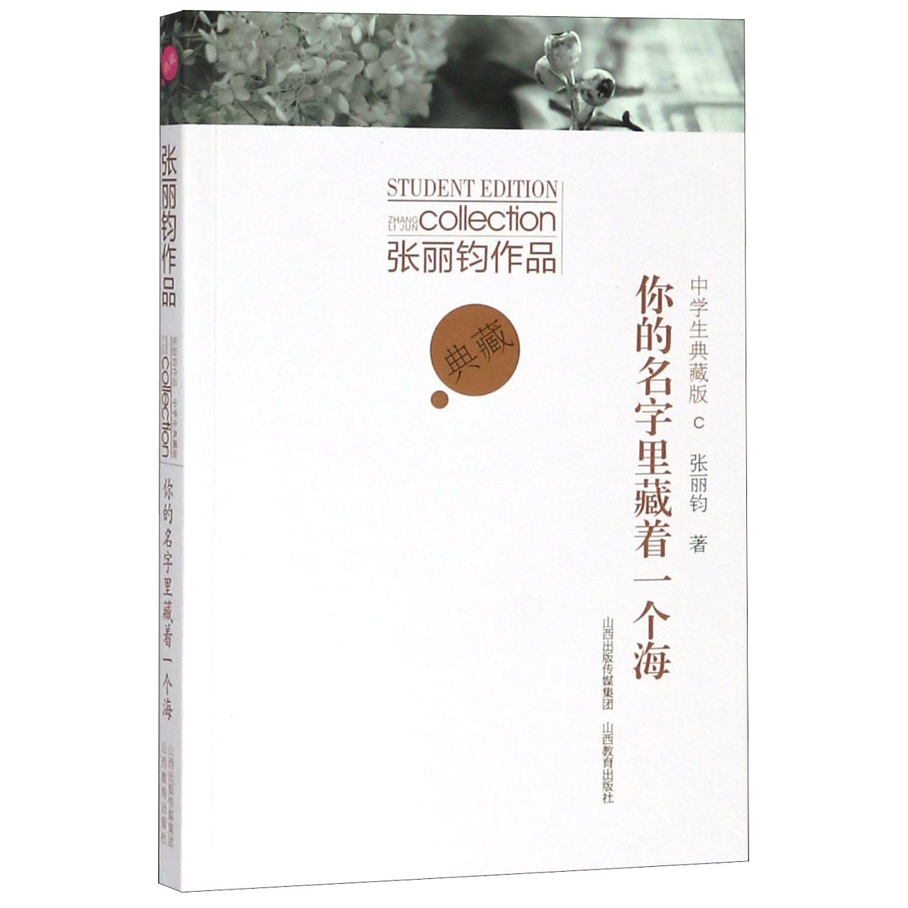 你的名字里藏着一个海(张丽钧作品中学生典藏版)