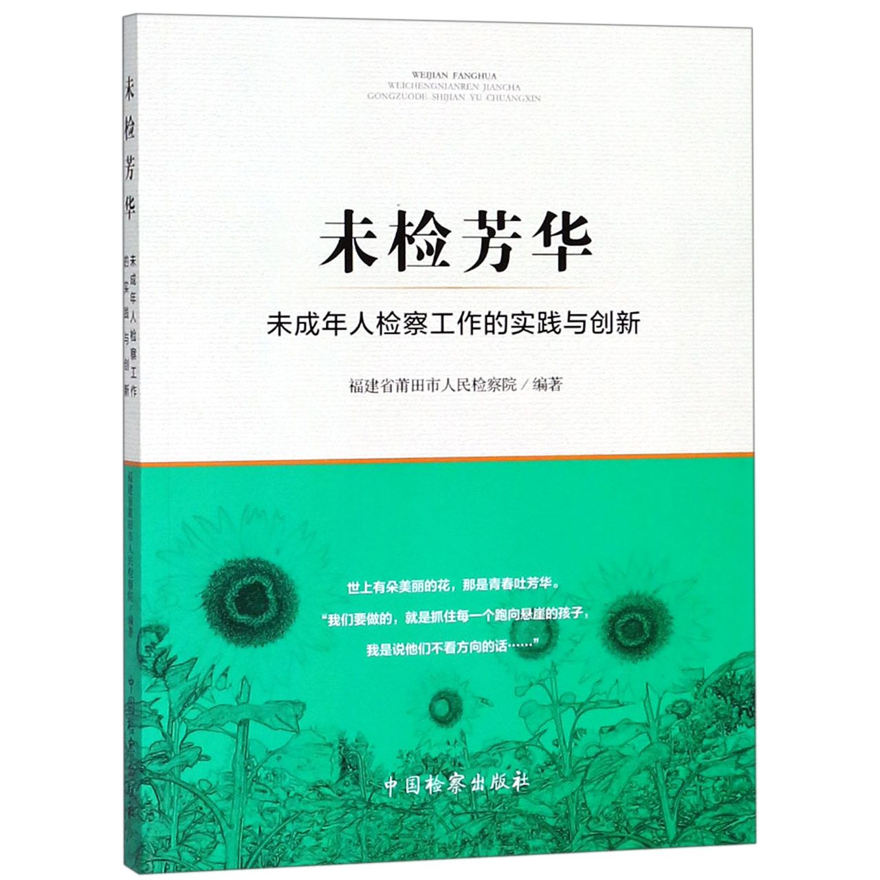 未检芳华(未成年人检察工作的实践与创新)