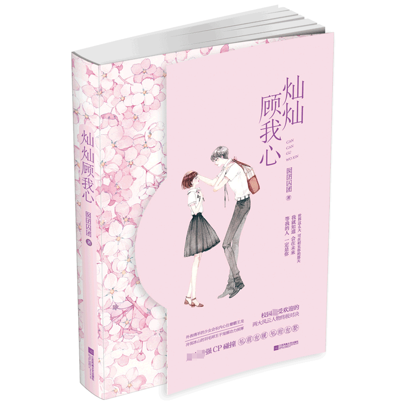 灿灿顾我心