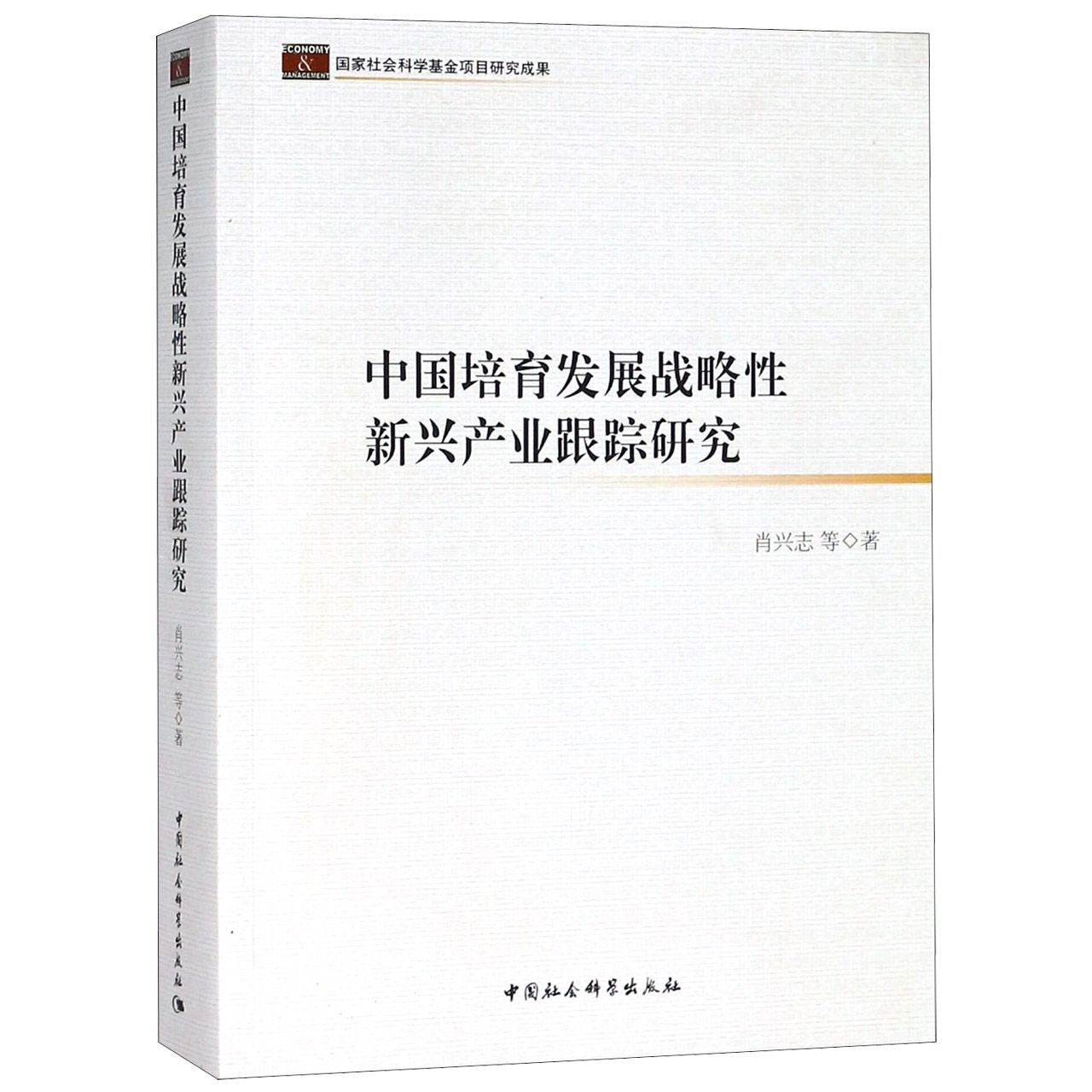 中国培育发展战略性新兴产业跟踪研究