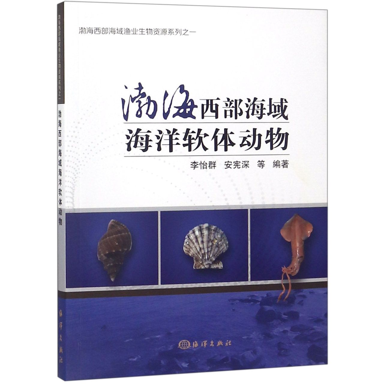 渤海西部海域海洋软体动物/渤海西部海域渔业生物资源系列