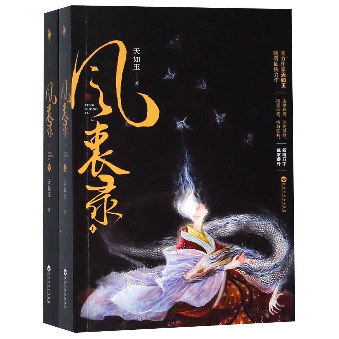 风衷录(上下)