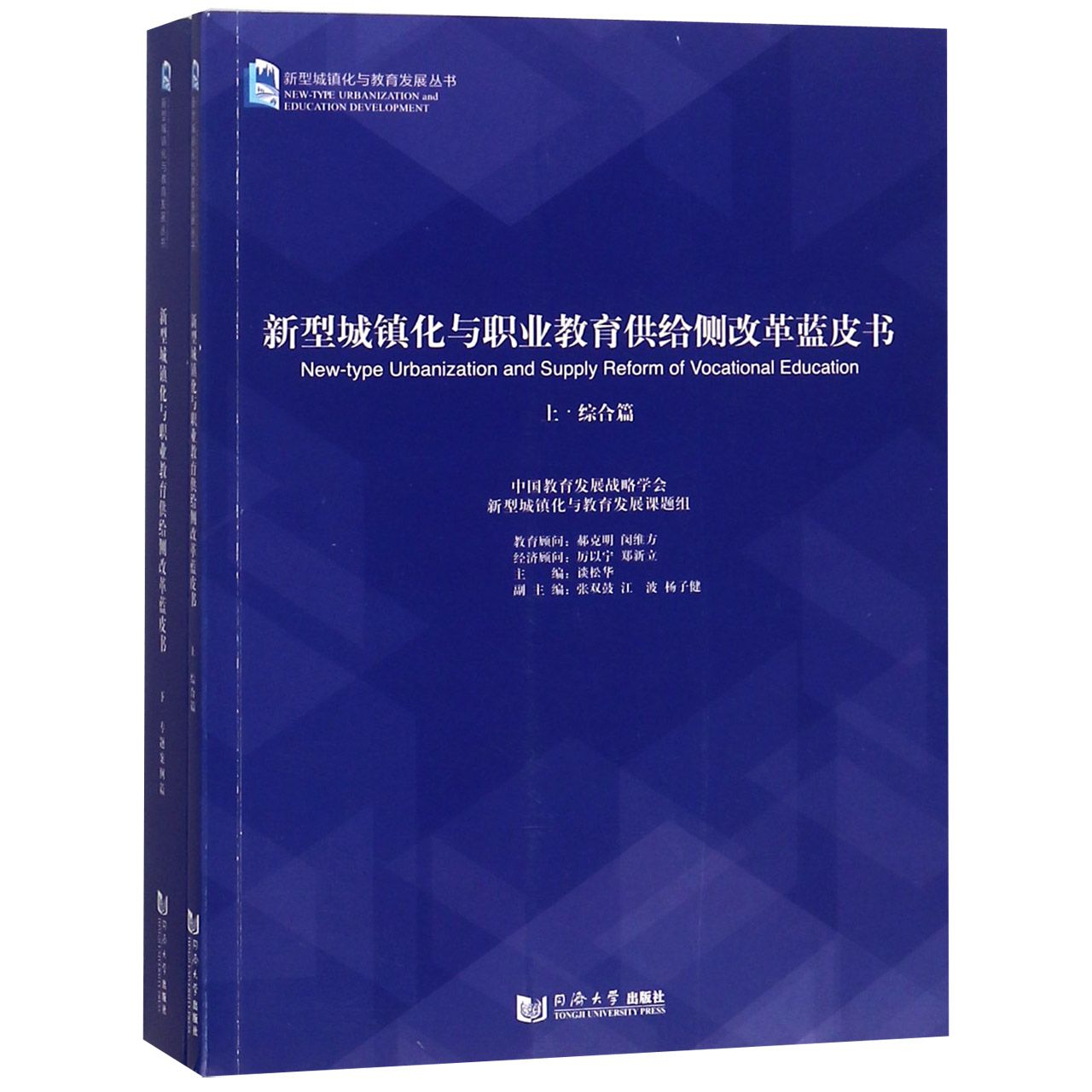 新型城镇化与职业教育供给侧改革蓝皮书(上下)/新型城镇化与教育发展丛书