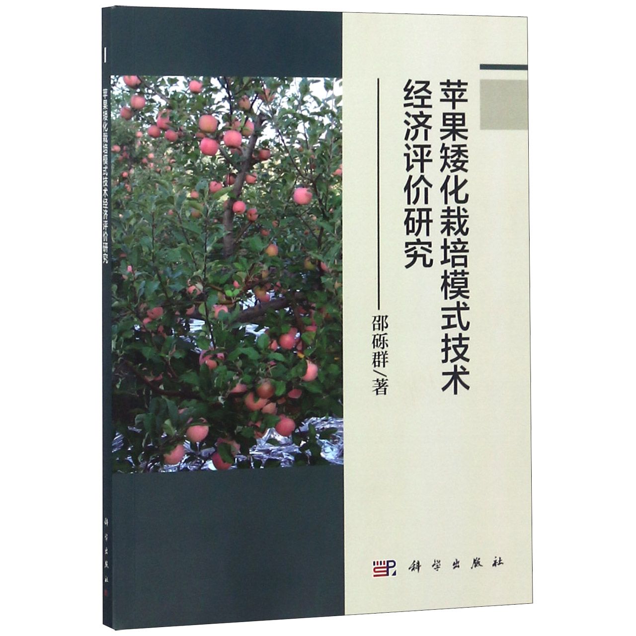 苹果矮化栽培模式技术经济评价研究