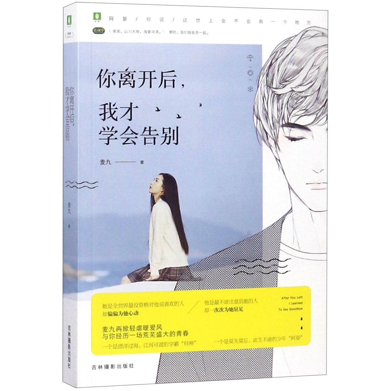 你离开后我才学会告别