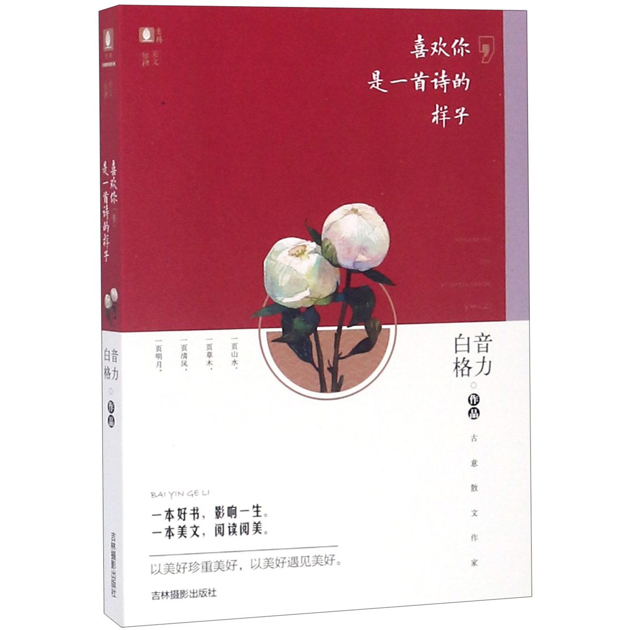 喜欢你是一首诗的样子