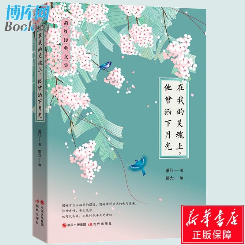 在我的灵魂上,他曾洒下月光 萧红经典文集