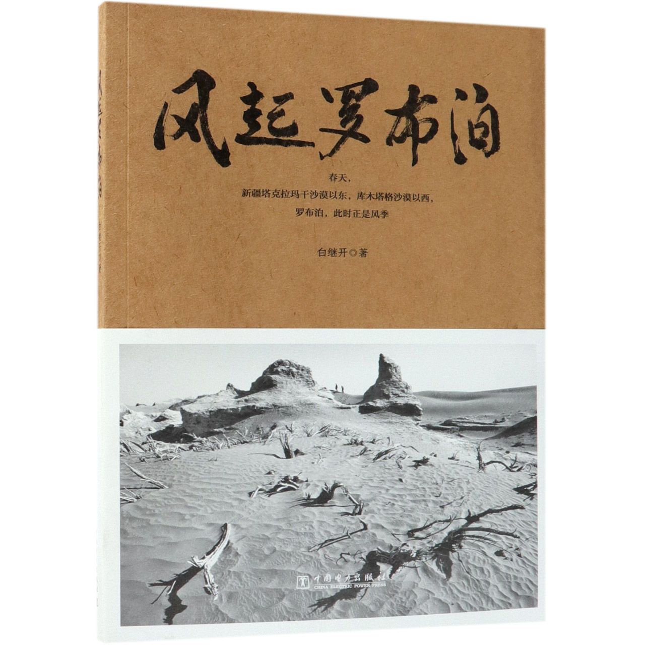 风起罗布泊