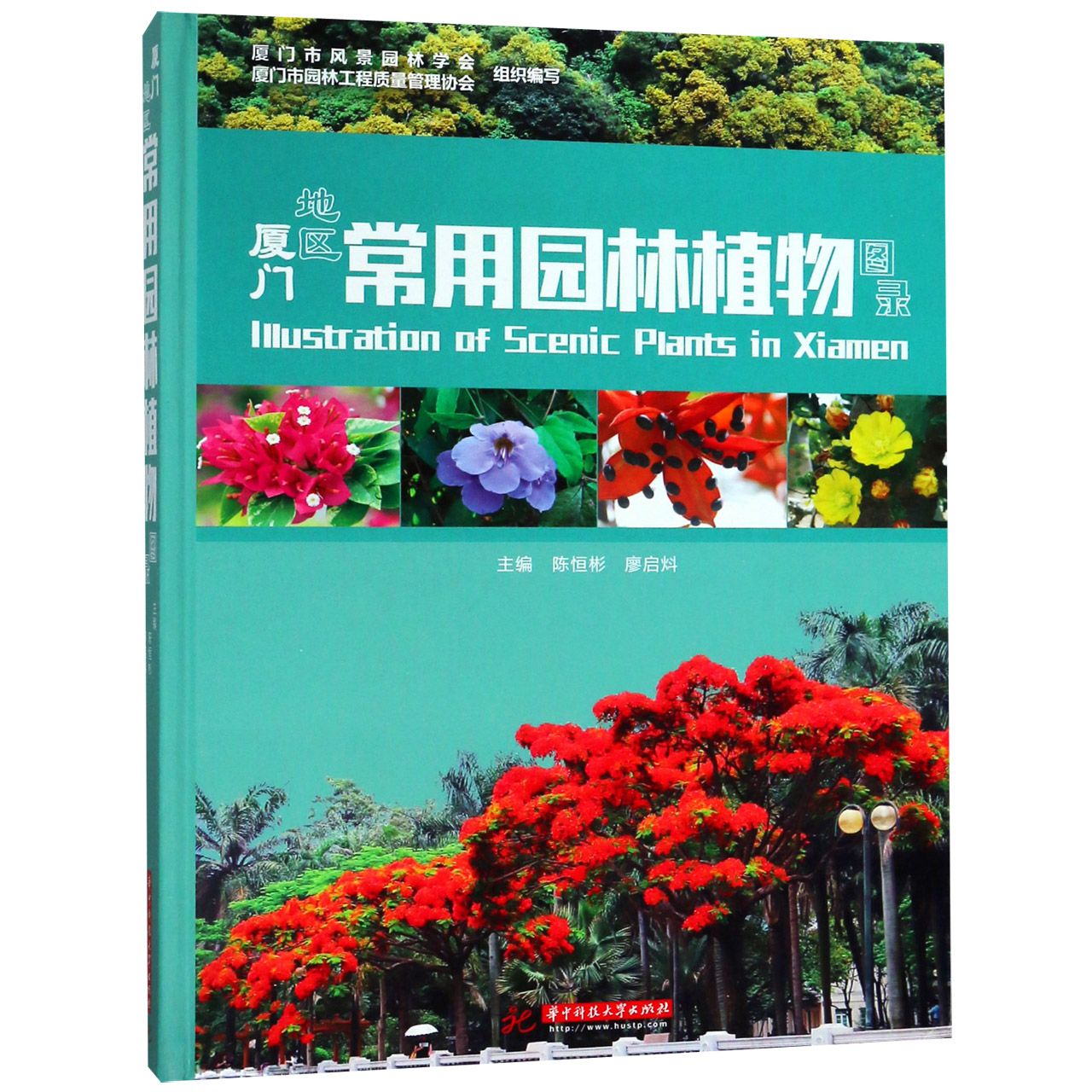 厦门地区常用园林植物图录(精)