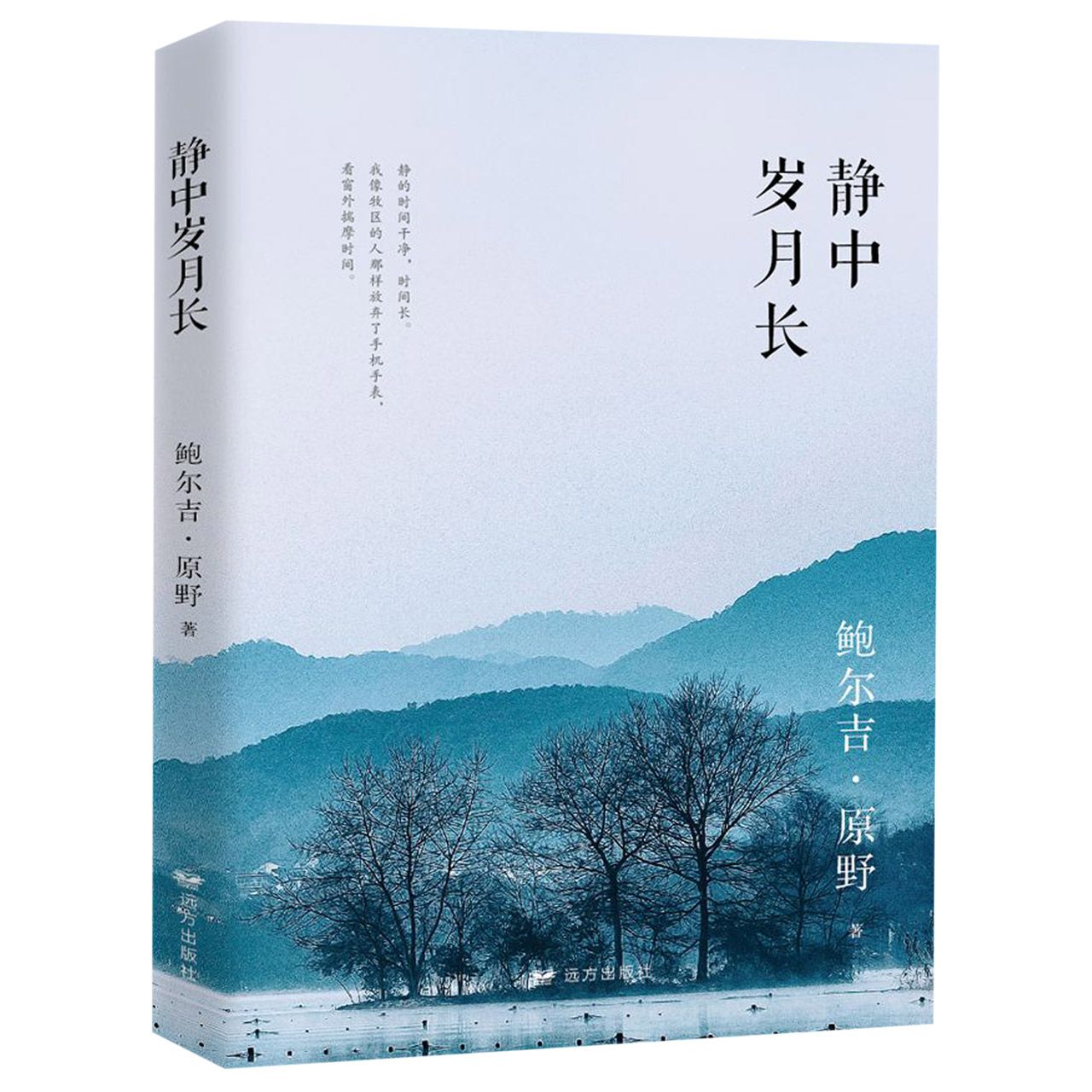 静中岁月长