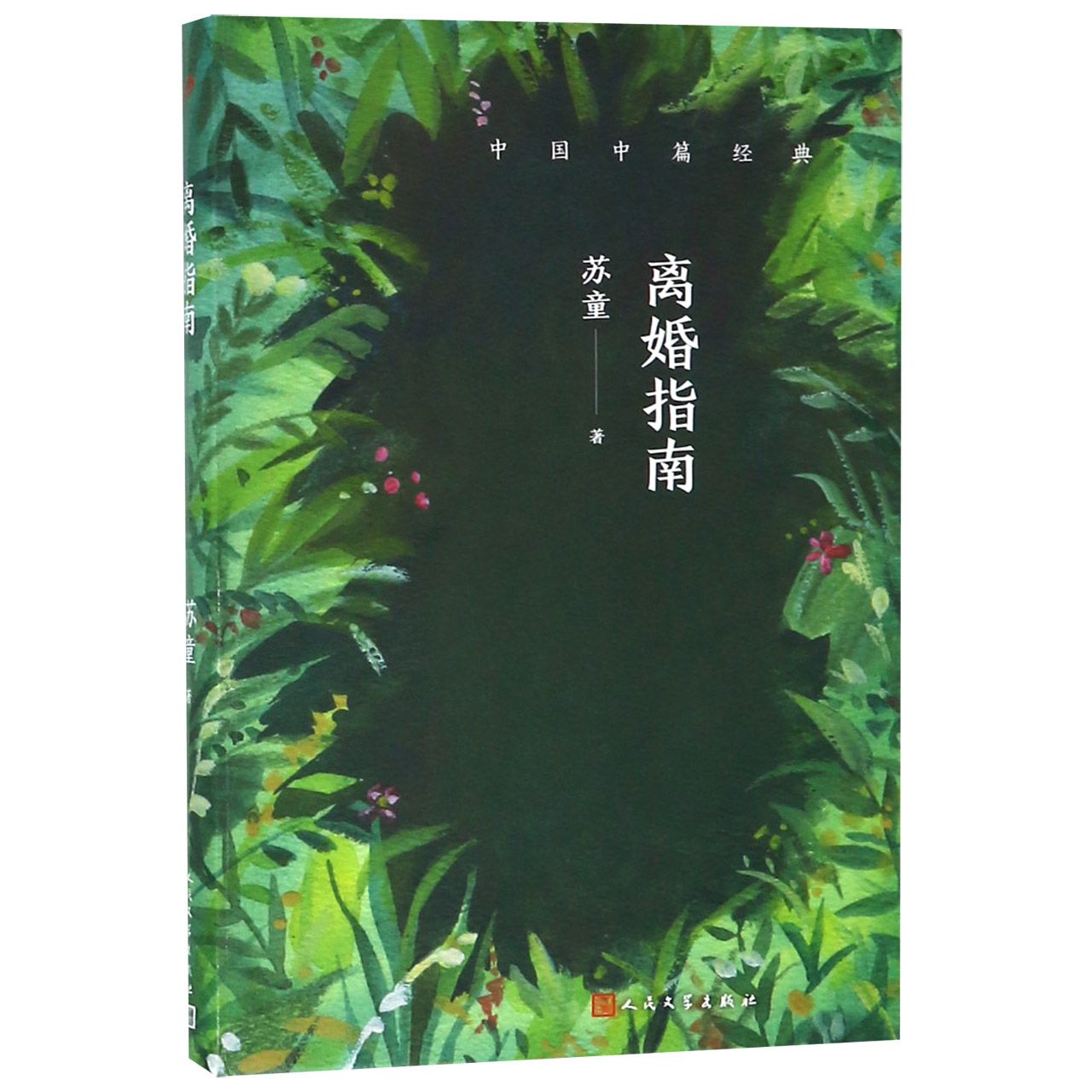 离婚指南/中国中篇经典