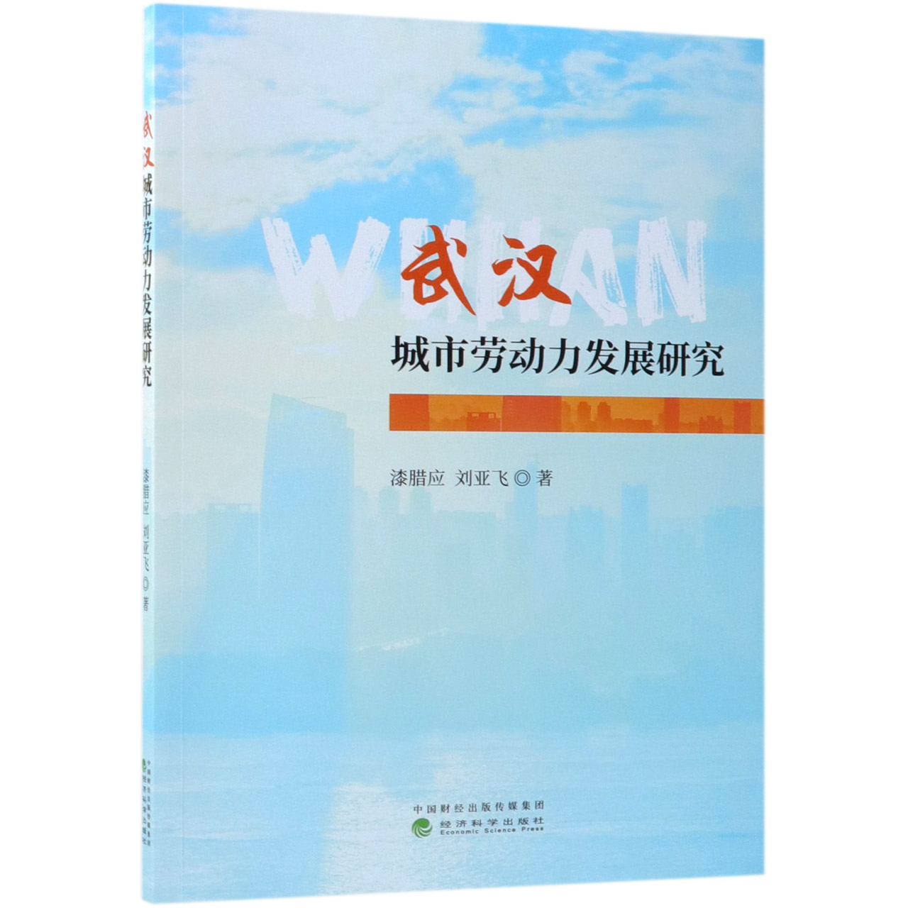 武汉城市劳动力发展研究