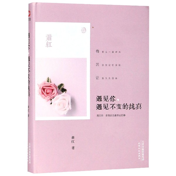 遇见你遇见不变的纯真(精)
