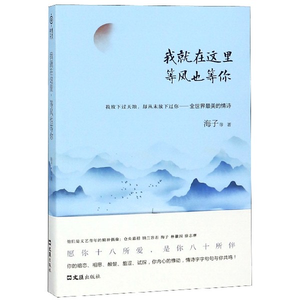 我就在这里等风也等你