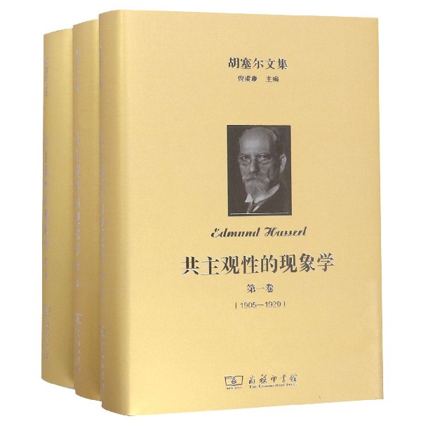 共主观性的现象学(共3册)(精)/胡塞尔文集